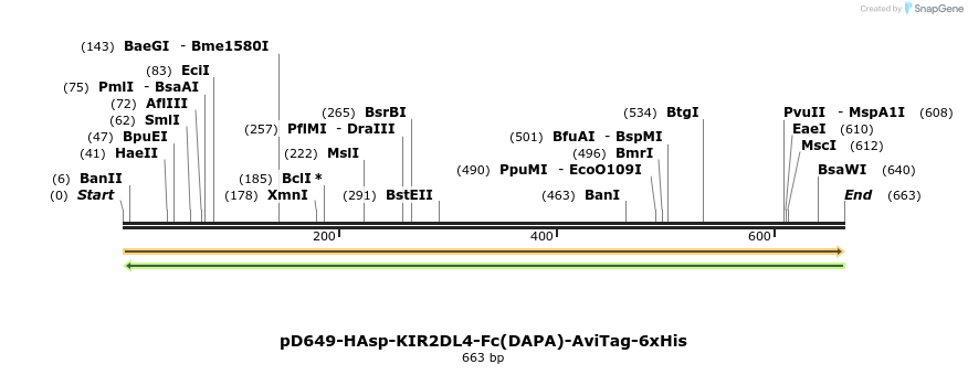 302434_map