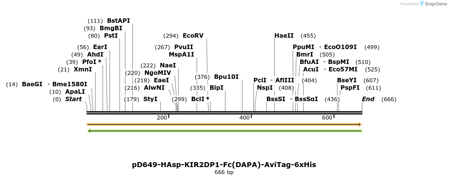 302436_map