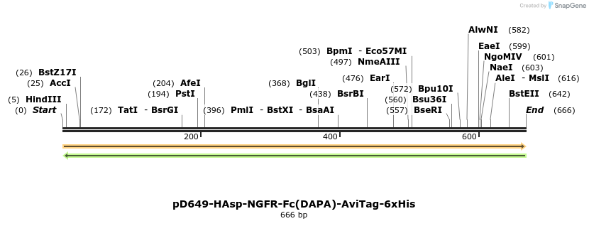 302438_map