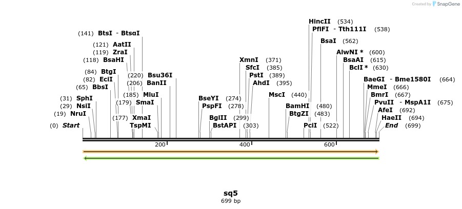 30245_map