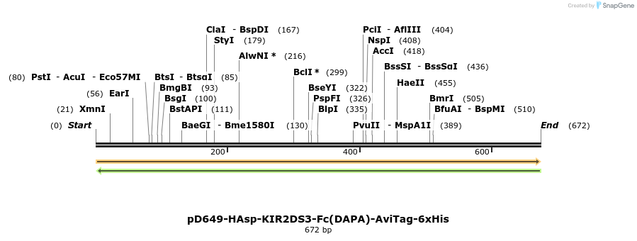 302456_map