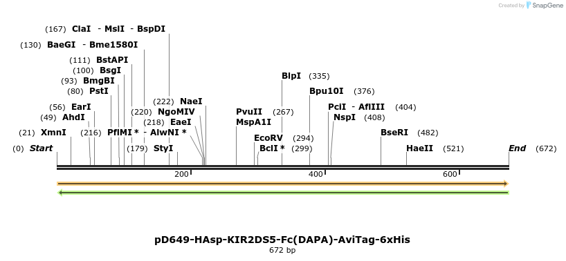 302458_map