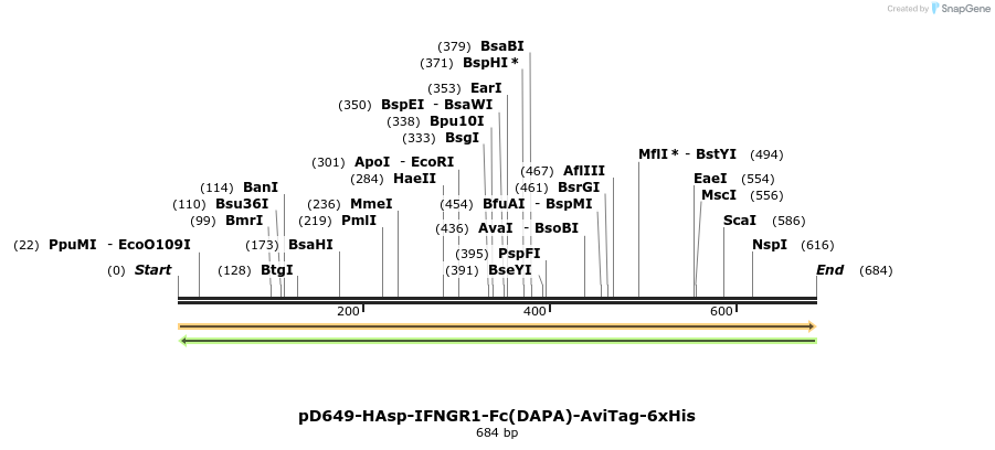 302468_map