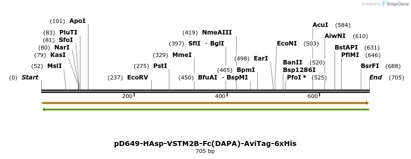 302480_map