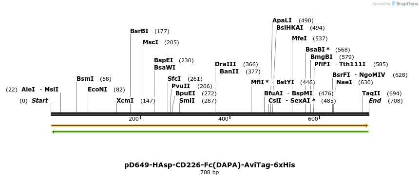 302486_map