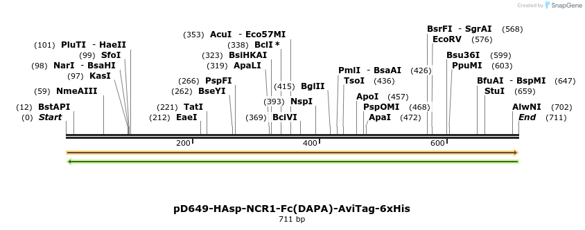302488_map