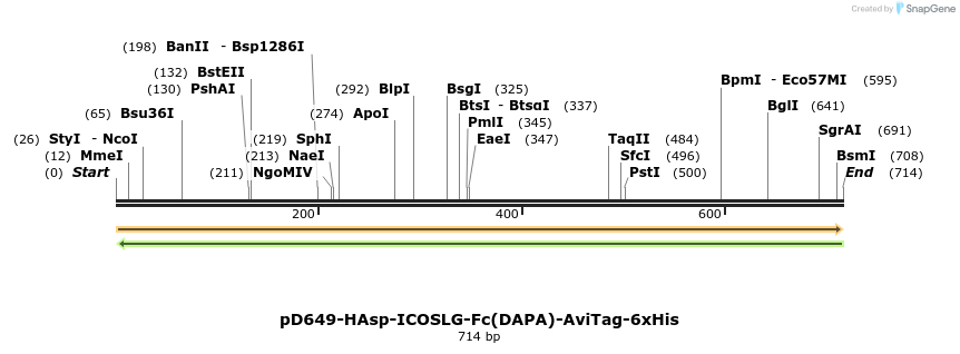 302490_map