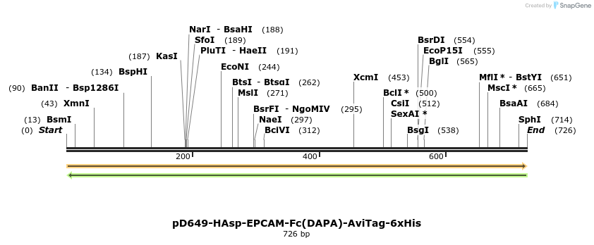 302496_map