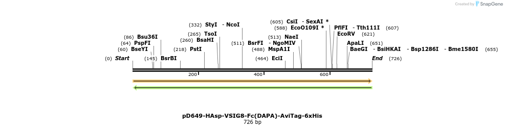 302500_map
