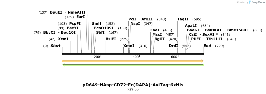302502_map