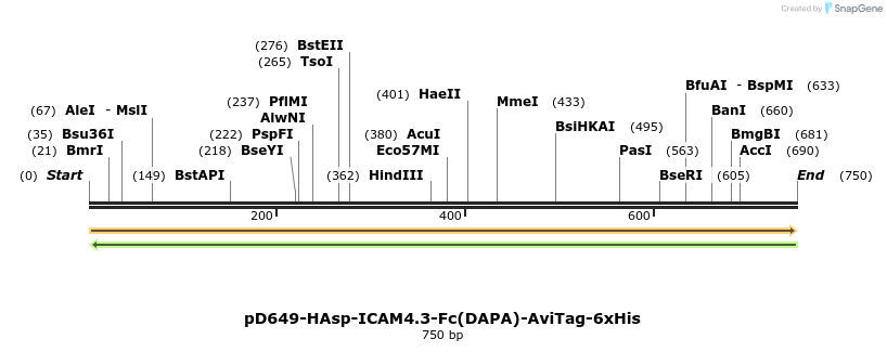 302516_map