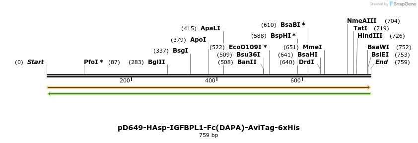 302518_map