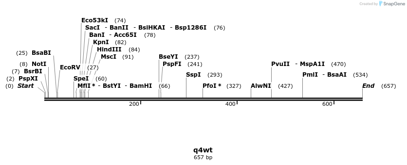 30252_map
