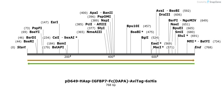 302522_map