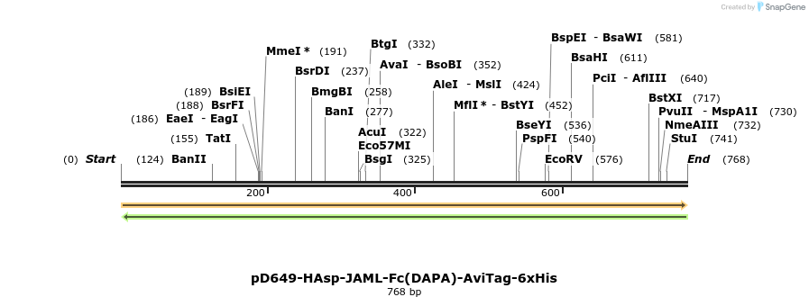 302524_map