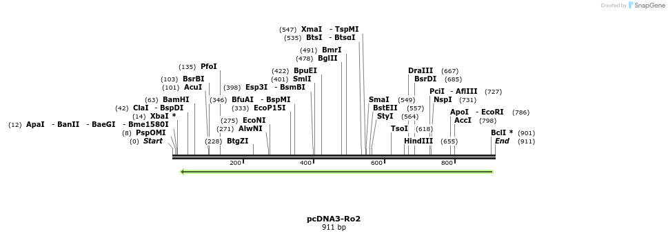30253_map