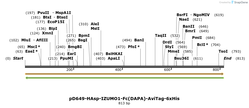 302540_map
