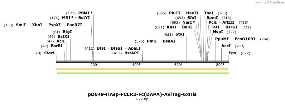 302542_map