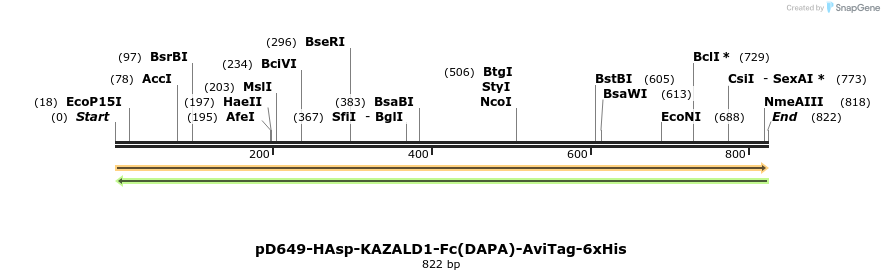 302544_map