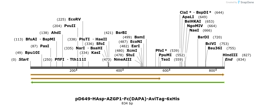 302548_map