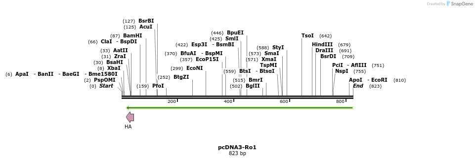 30255_map