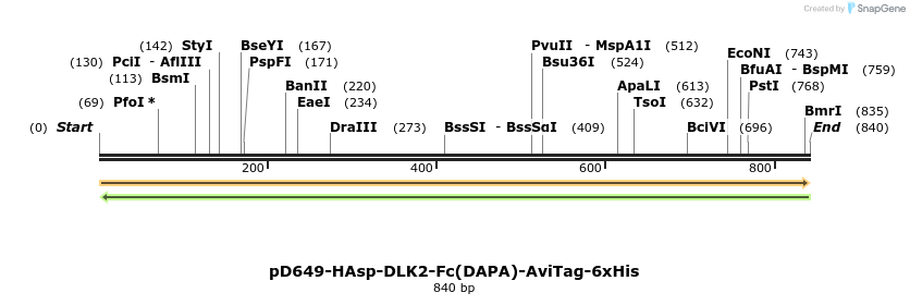 302552_map
