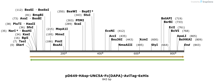 302554_map