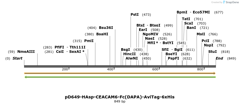 302556_map