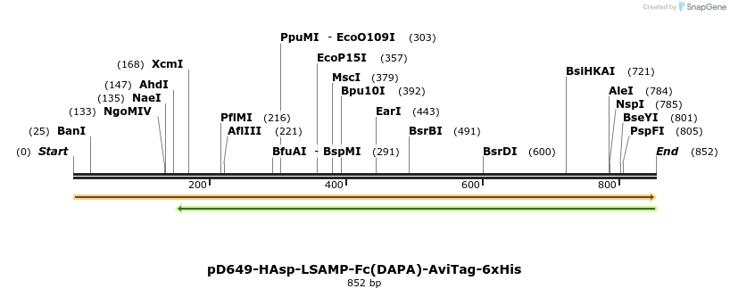 302558_map