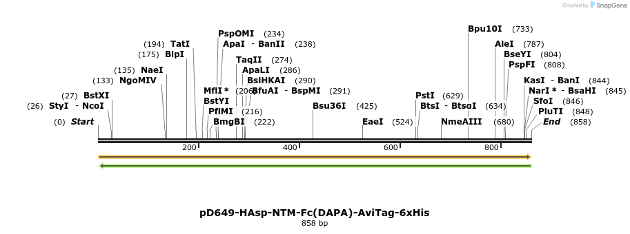 302562_map