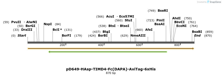 302572_map