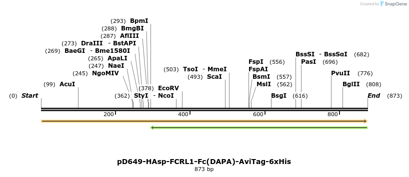 302574_map