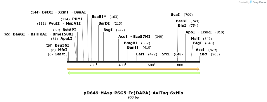 302588_map