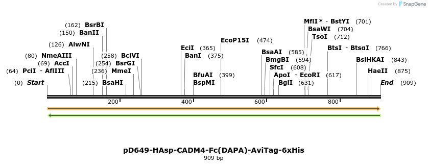 302592_map