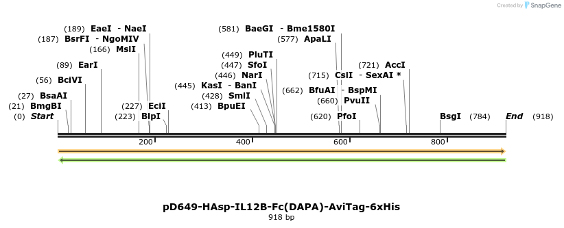 302598_map