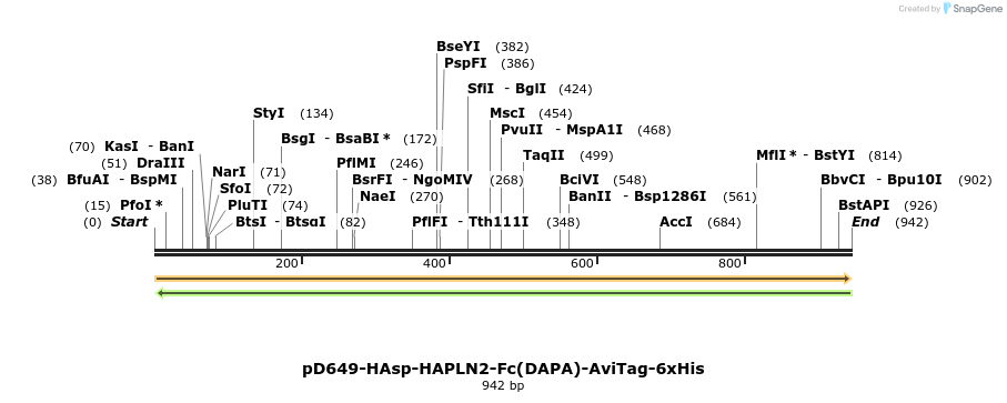 302614_map