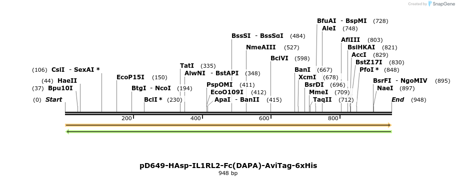 302616_map