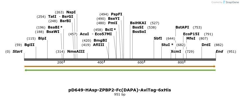 302618_map