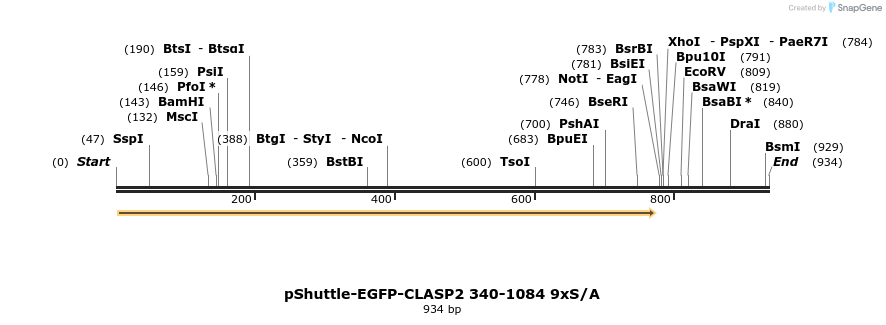 30262_map
