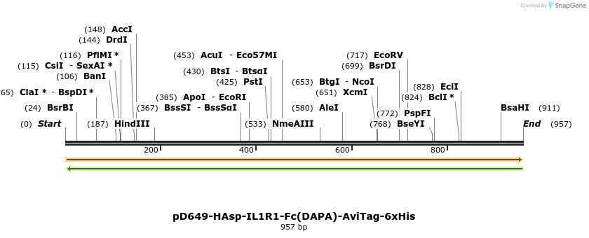 302622_map