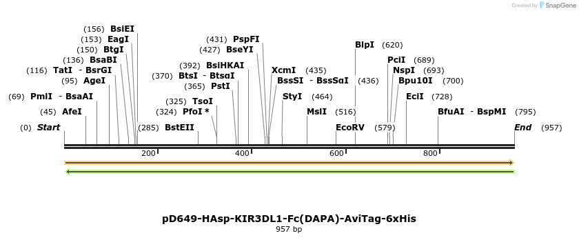 302624_map