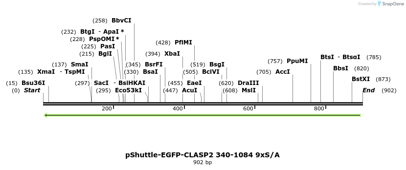 30263_map