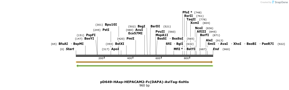302630_map
