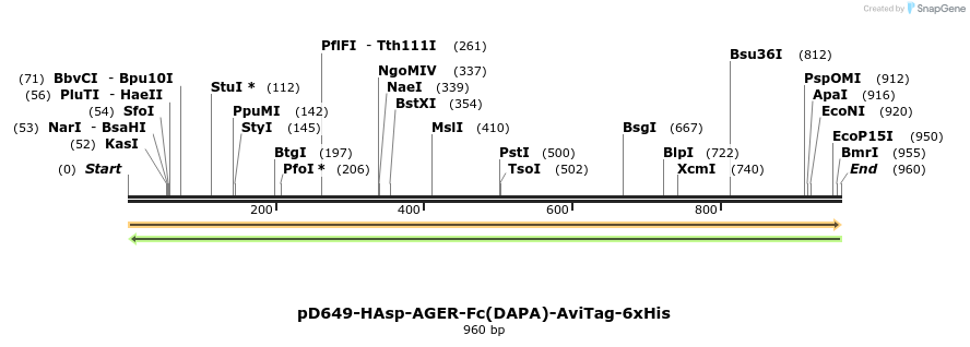 302632_map