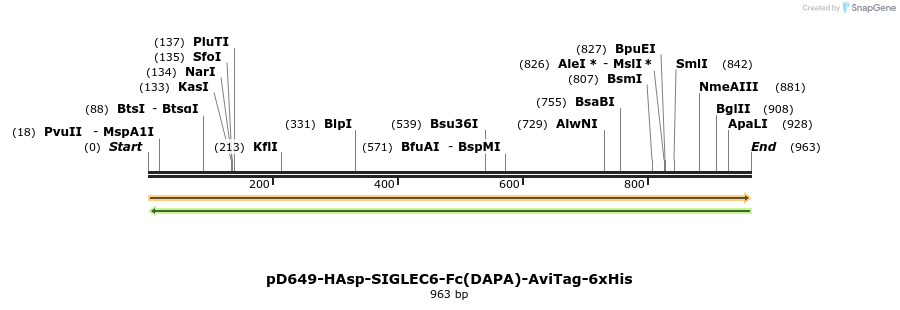 302634_map