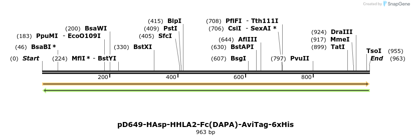 302636_map