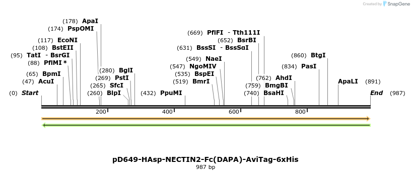 302644_map