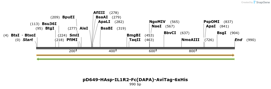302648_map