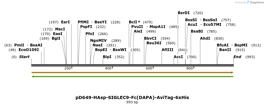 302652_map