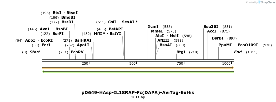 302660_map
